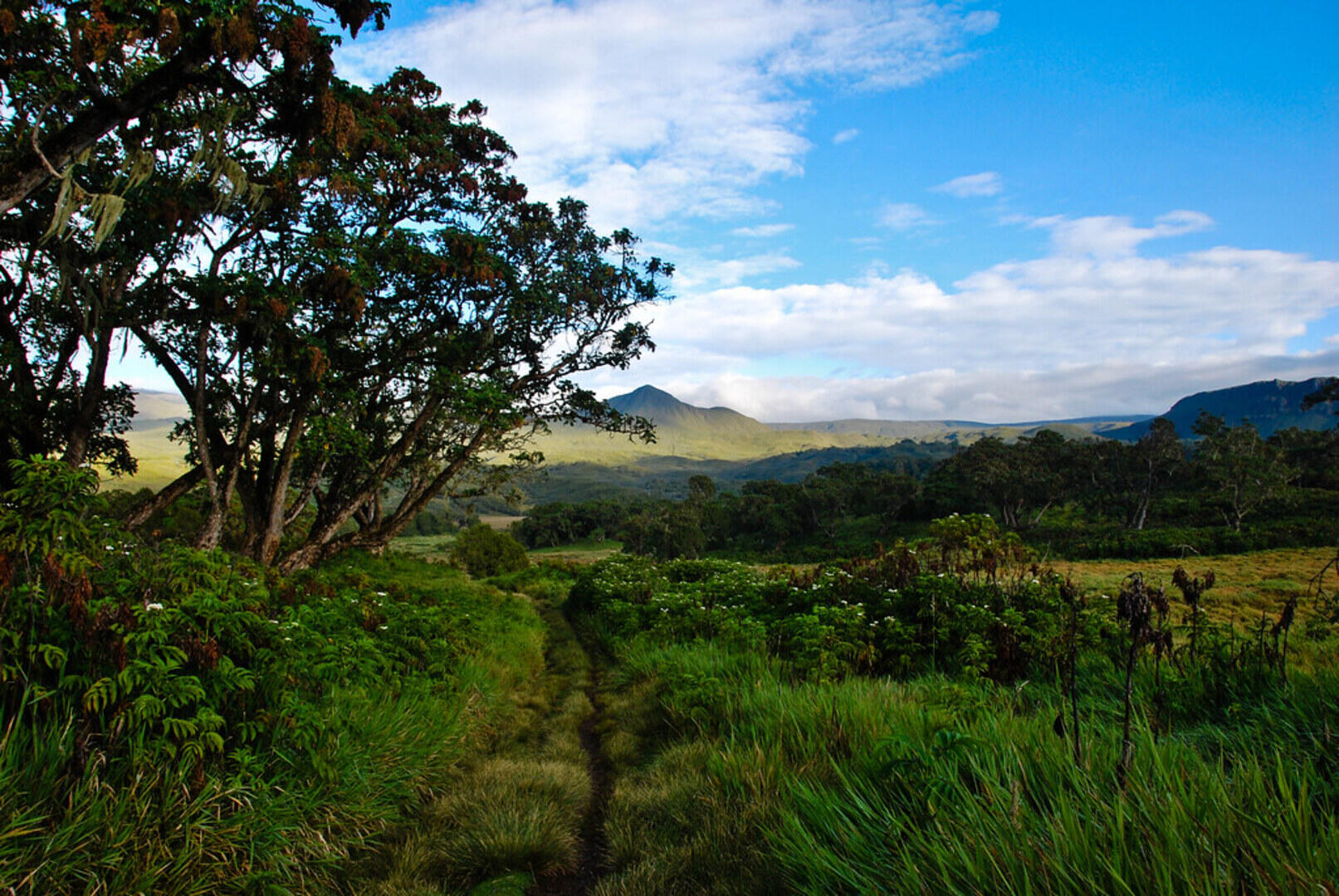 Nairobi: Mount Kenya Day Hike with Lunch